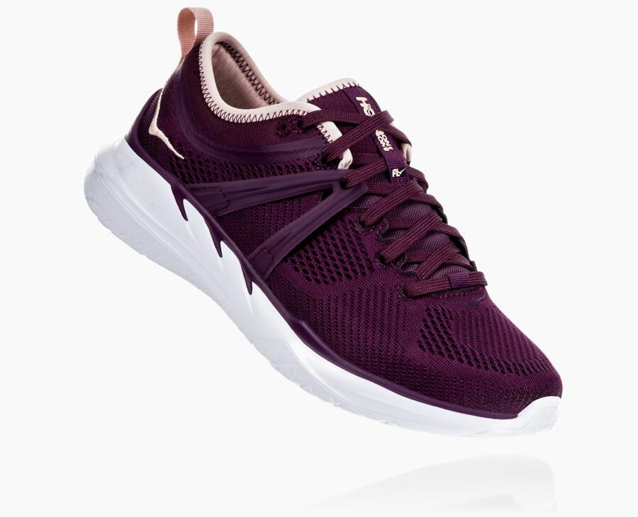 Hoka Womens Running Shoes NZ - Hoka Tivra Purple (WQS189642)